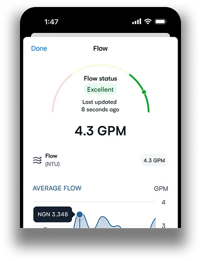 SIPP AI time series forecasting platform